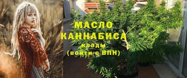 индика Иннополис