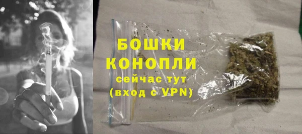 индика Иннополис