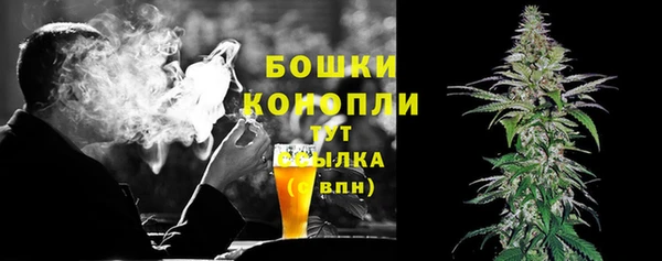 ПСИЛОЦИБИНОВЫЕ ГРИБЫ Инта