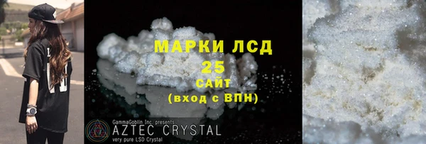 ПСИЛОЦИБИНОВЫЕ ГРИБЫ Инта