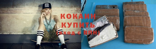 прущие грибы Инсар