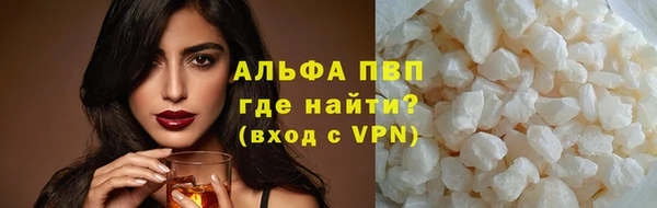 прущие грибы Инсар
