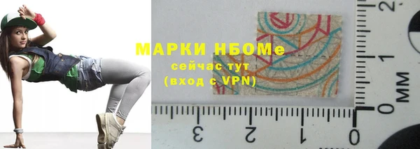 прущие грибы Инсар