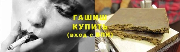 индика Иннополис
