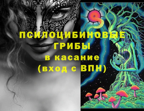индика Иннополис