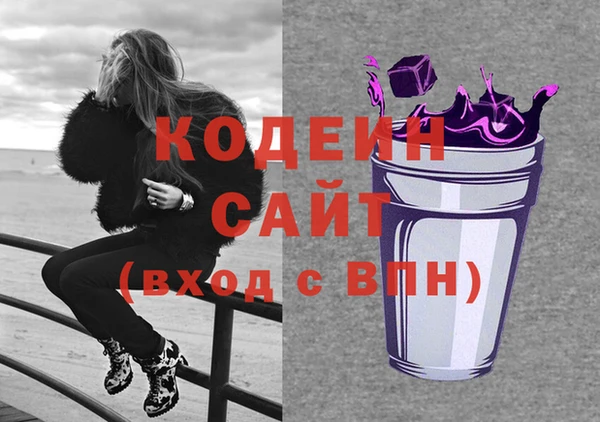 индика Иннополис