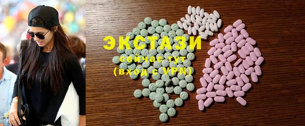 индика Иннополис