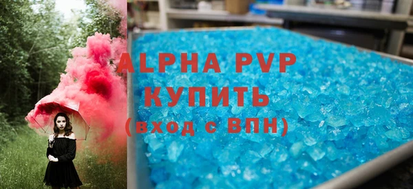 ПСИЛОЦИБИНОВЫЕ ГРИБЫ Инта